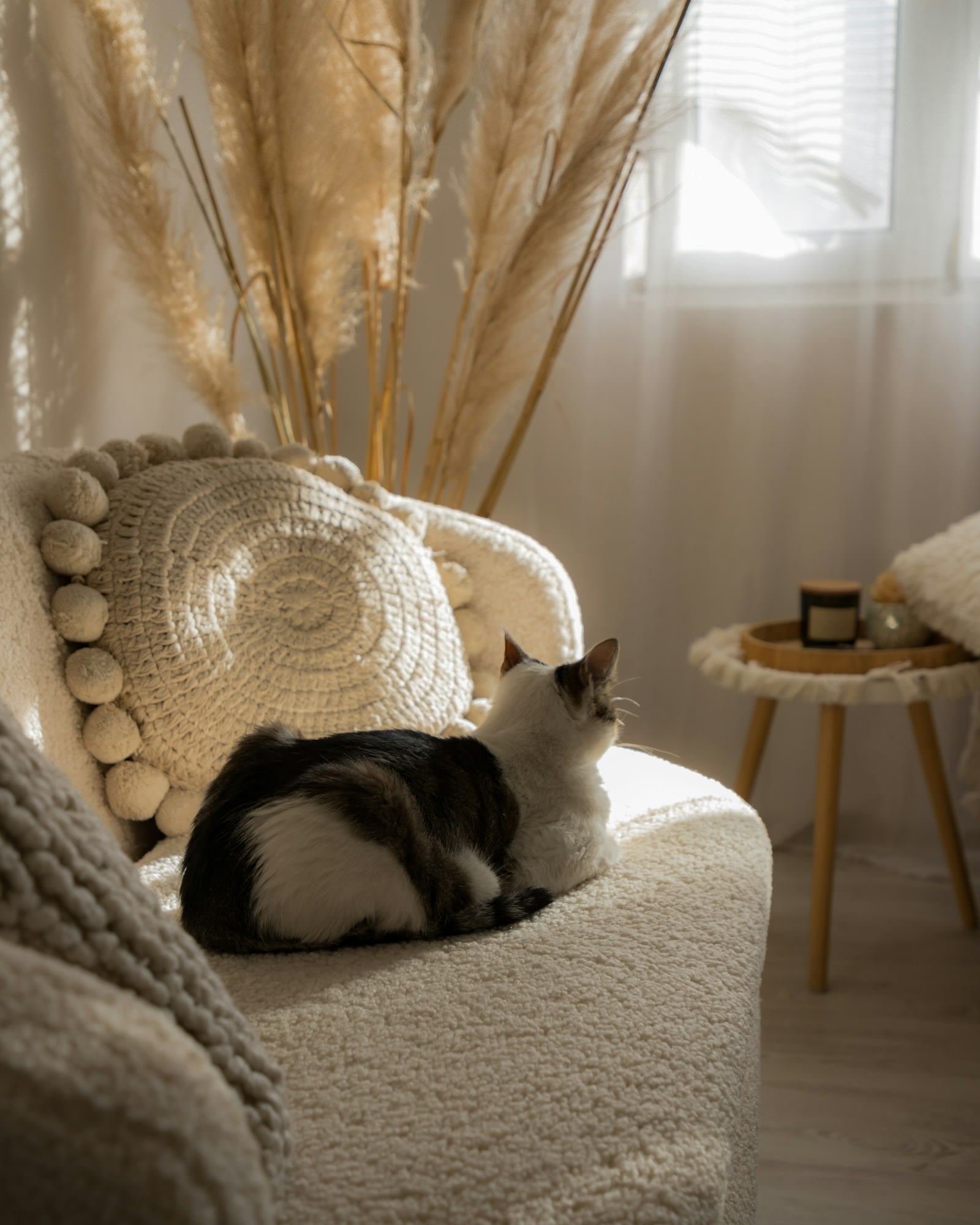 Are Plug-In Air Fresheners Toxic to Cats? What Vets Want You to Know