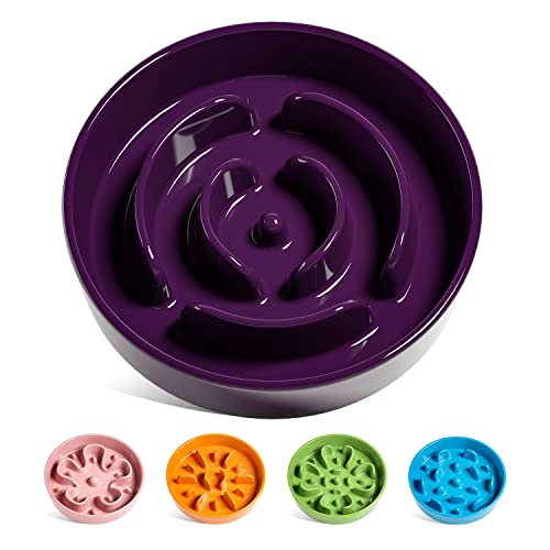LE TAUCI Ceramic Slow Feeder Dog Bowl